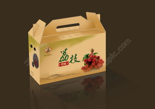手提式与乐器包装盒设计 探索结构与美感融合的实用指南